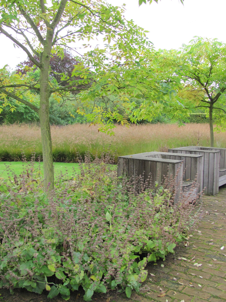 2. Молиния голубая «Paul Peterson» в Scampston Hall, дизайн Пит Удольфа