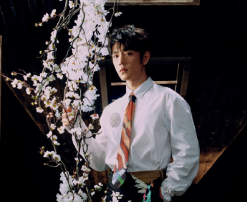 Китайский актер и певец Сяо Чжань.