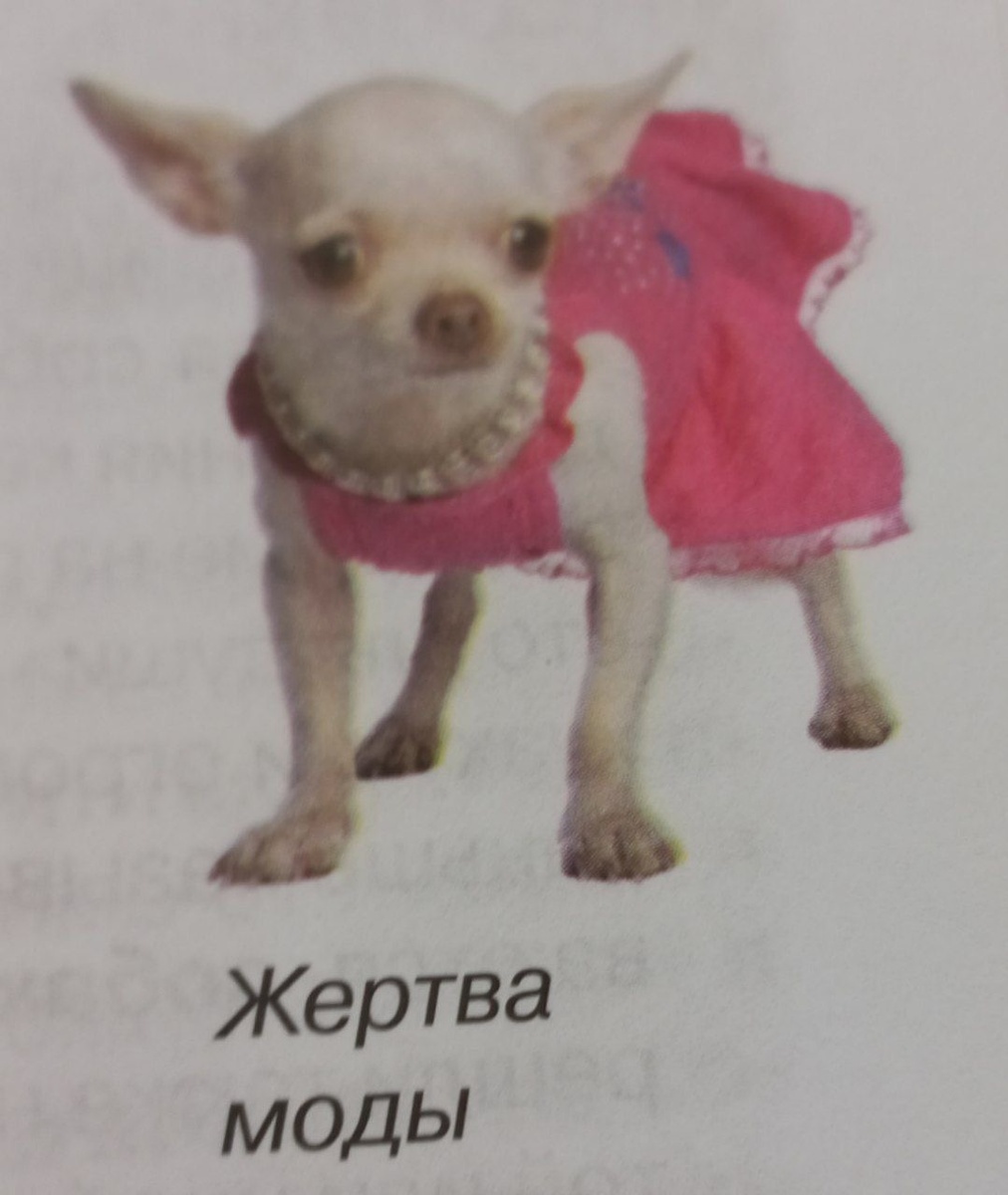 изображение: https://pin.it/6eNtAKaON