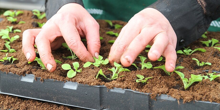    Фото: Москва 24/Михаил Сипко