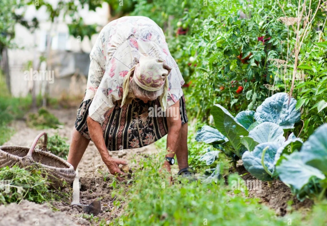 Фото из открытого источника.