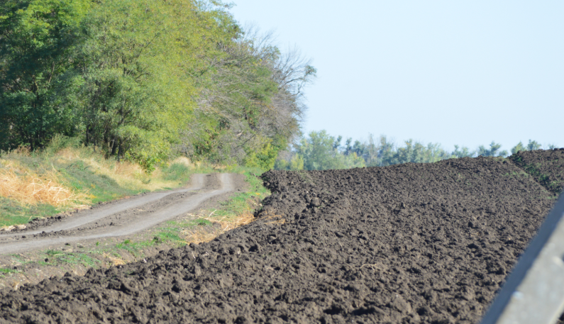 Фото автора. 23.09.2025. Поля совхозные. Теперь не понятно чьи.