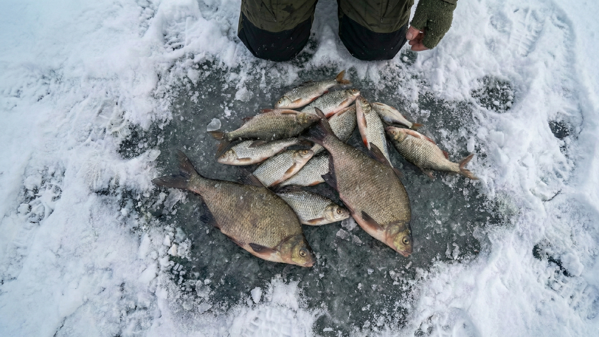 Как читать лед и находить рыбу глазами
