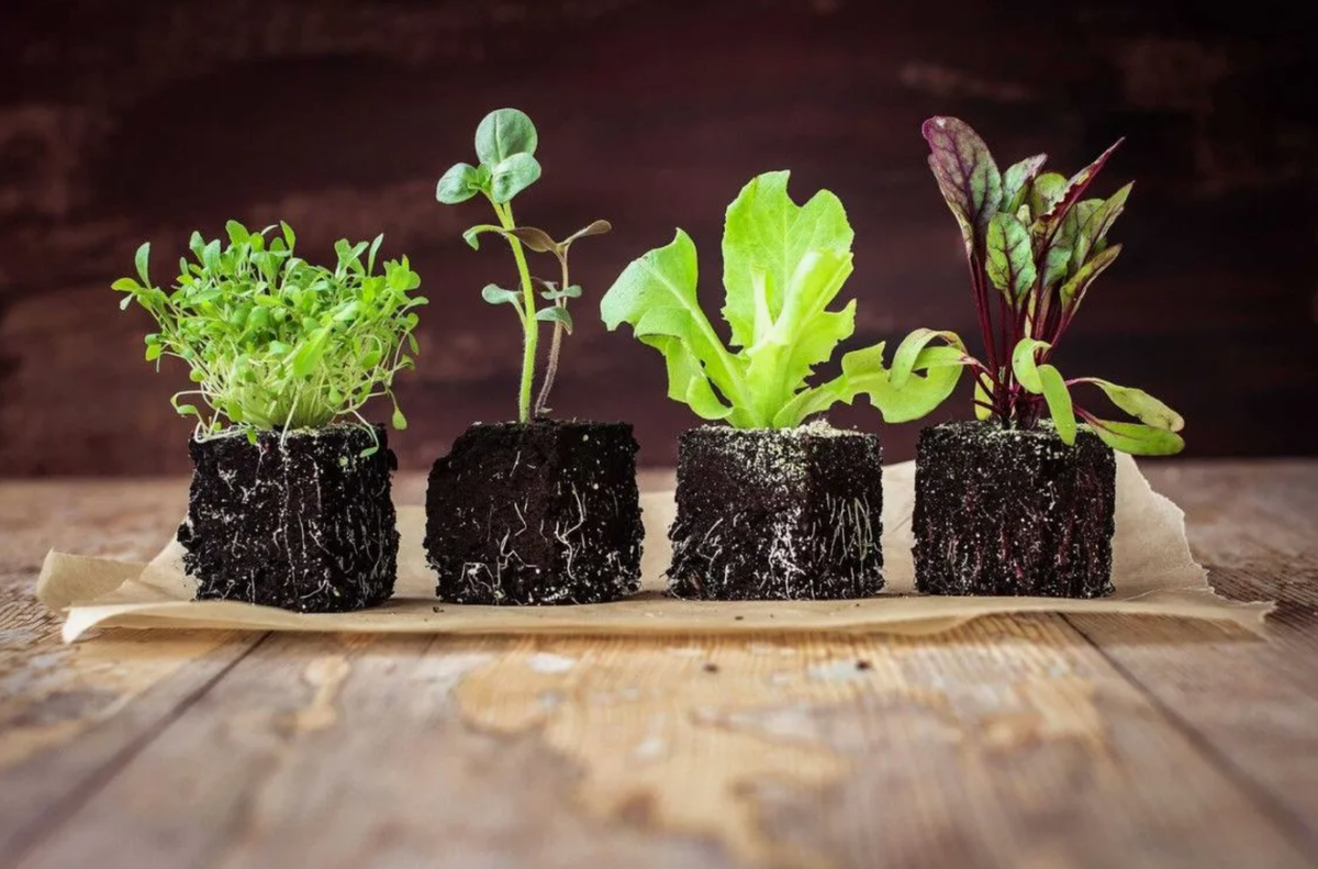 Источник фото: ozon.kz