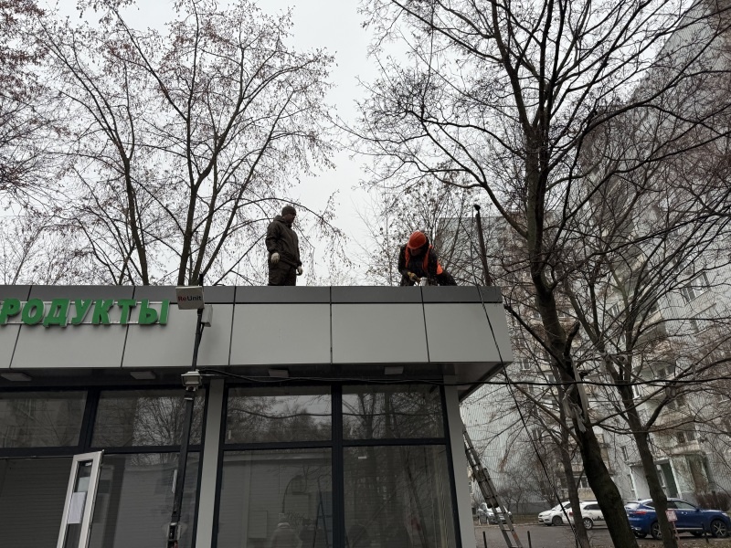    Фото: пресс-служба Правительства Московской области