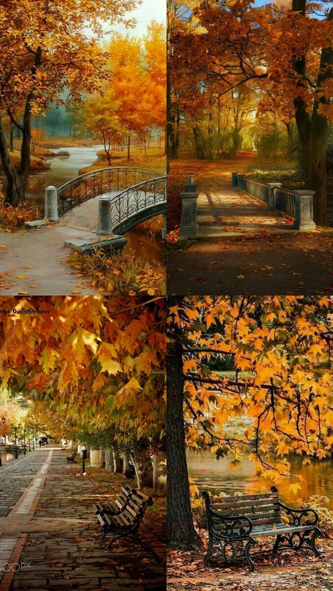 Картинка из интернета.