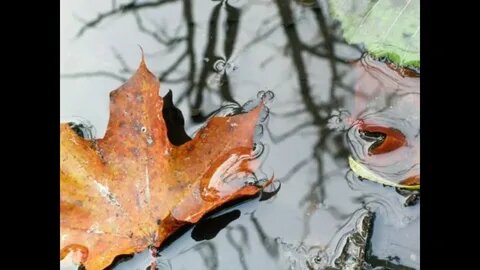 Картинка из интернета.