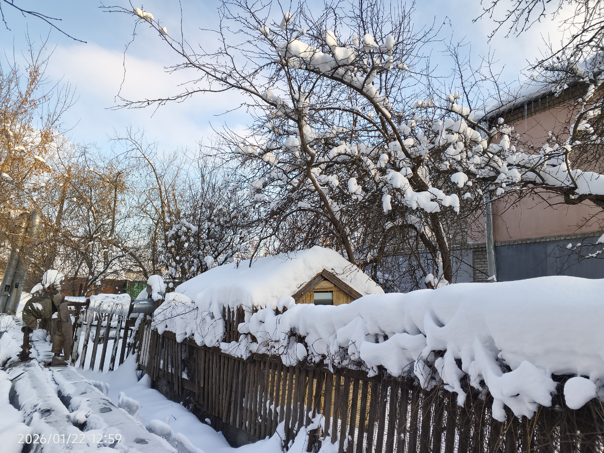 И это январь 2026г.