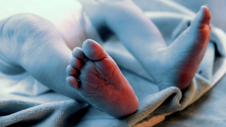    Фото: © РИА Новости/Павел Львов