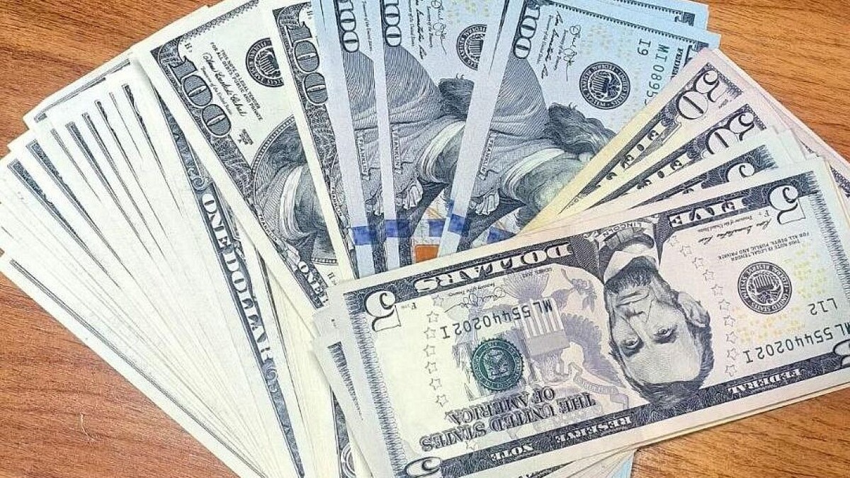    Фото: телеканал «Краснодар»