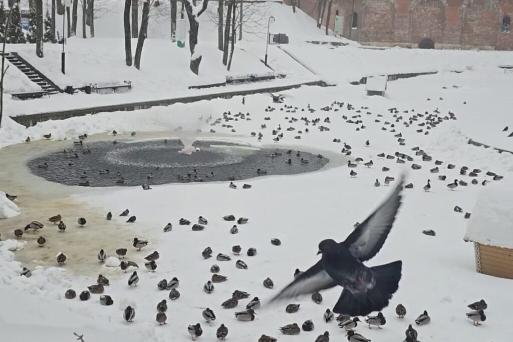    Фото: vk.com/lopatinsad