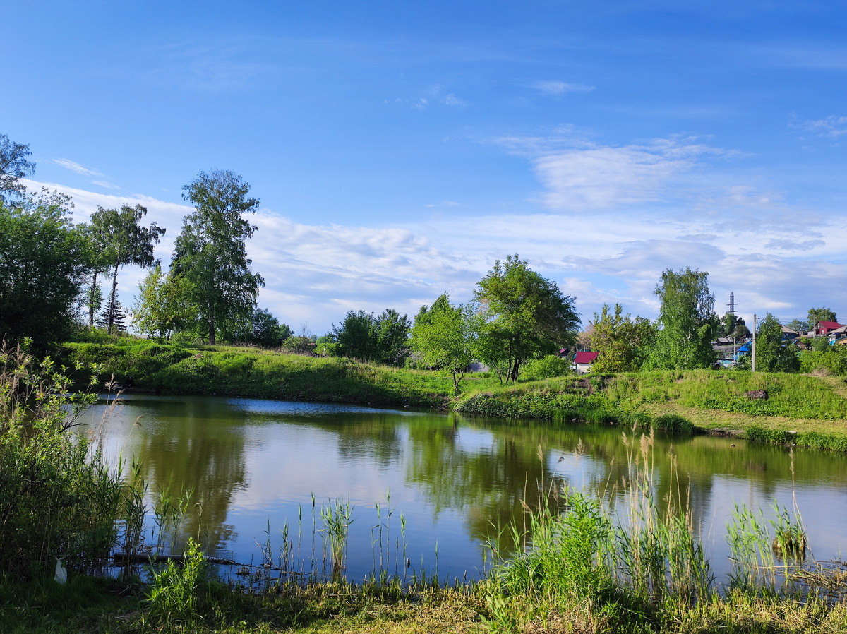 Фото автора. Озеро в парке 