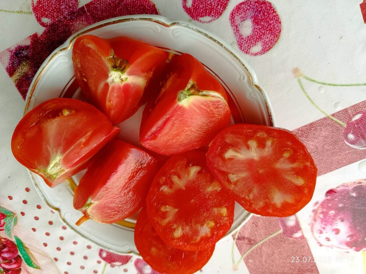 первые помидоры 23 июля