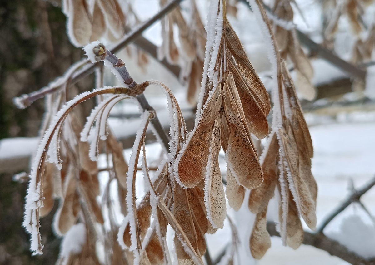 Личная фотография