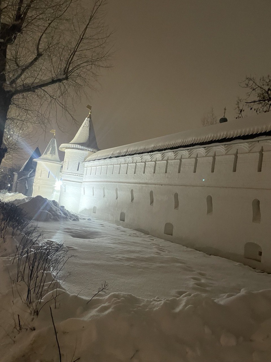 Стены Спасо-Андроникова монастыря 27 января 2026 года