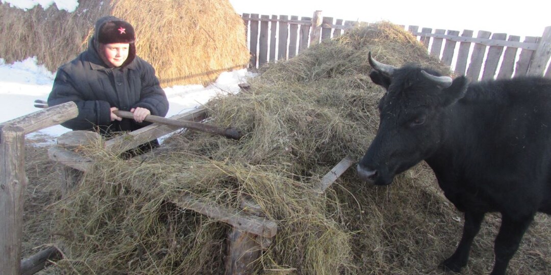 Жить в деревне и не заниматься животноводством