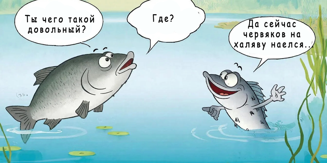 Минутка юмора🤣. Анекдоты про рыбалку🎣🎣🎣