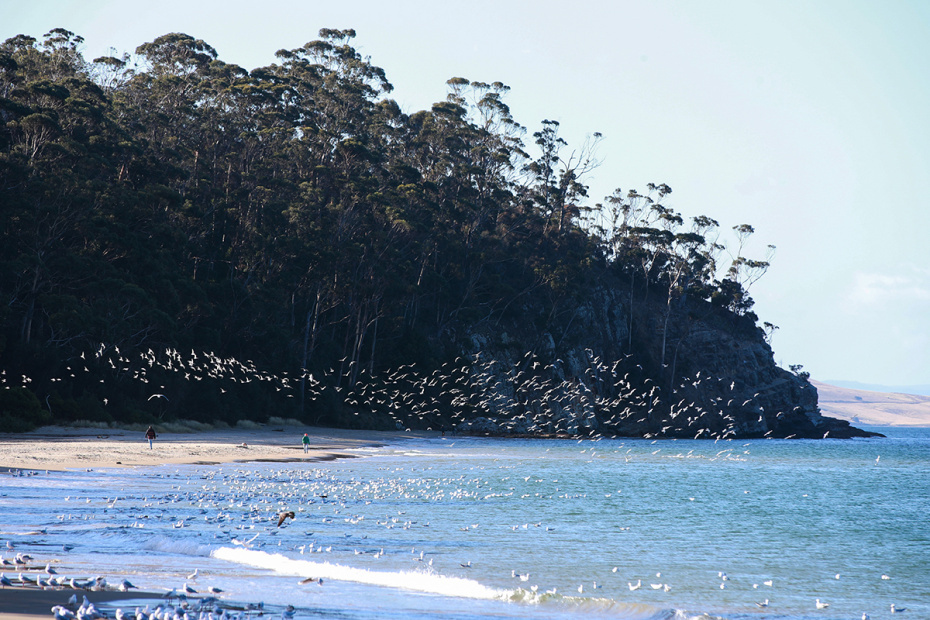    Ma Ping/XinHua/Global Look Press