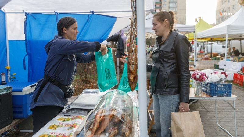      Фото: Дмитрий Ахмадуллин / / ИА «Победа26»