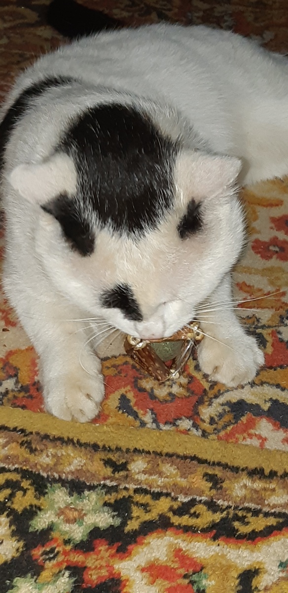 Мататабочка моя