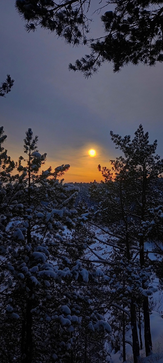 Фото Андрей Семенов https://vk.ru/id795870892
