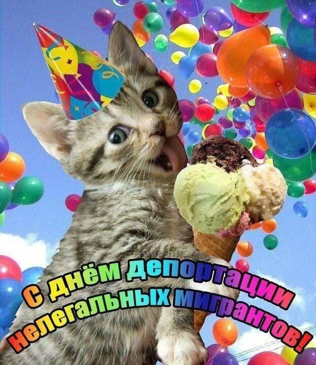 Вот это шутки ИИ, прям в том же стиле, как шутки МВД с их статистикой депортаций!