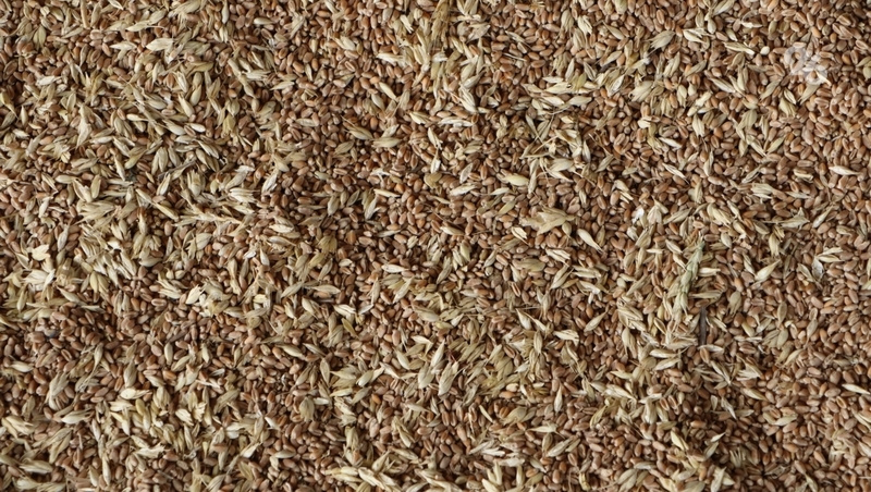      Фото: ИА «Победа26»