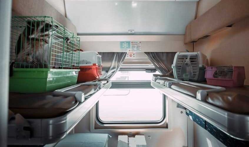    Фото: пресс-служба Минтранса Татарстана