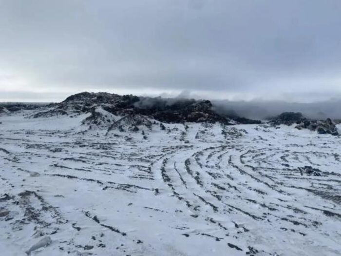 Иллюстрация: Телеграмм-канал Антонины Пшеничной