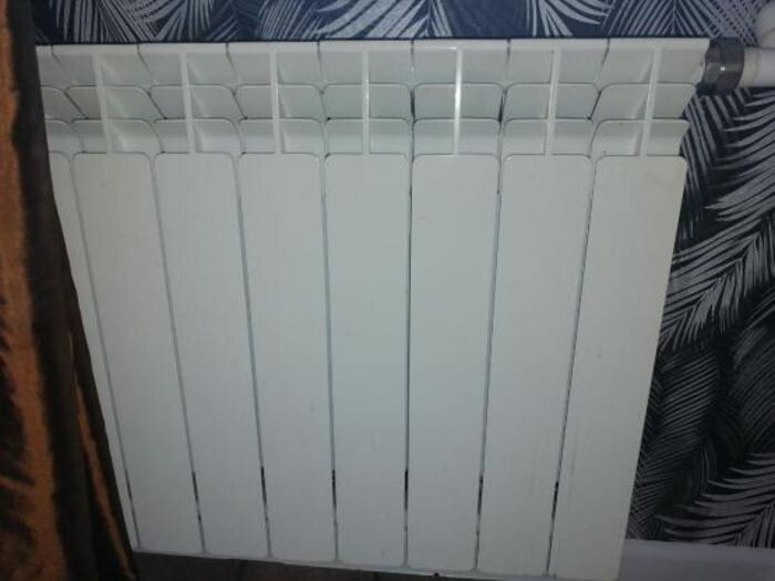 Иллюстрация: © «Панорама»