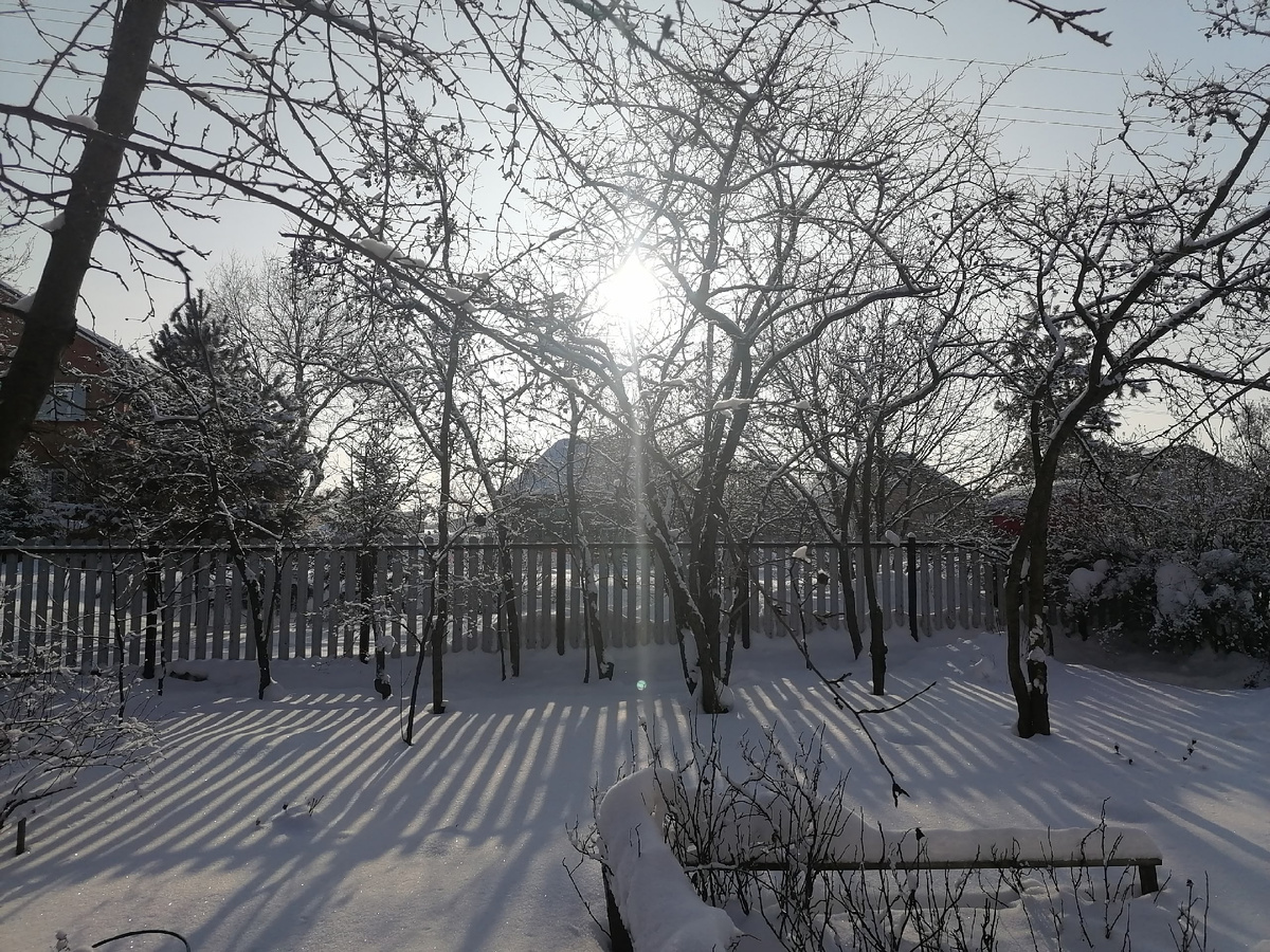 Зимнее утро в деревне , наш палисадник, -35  за окном