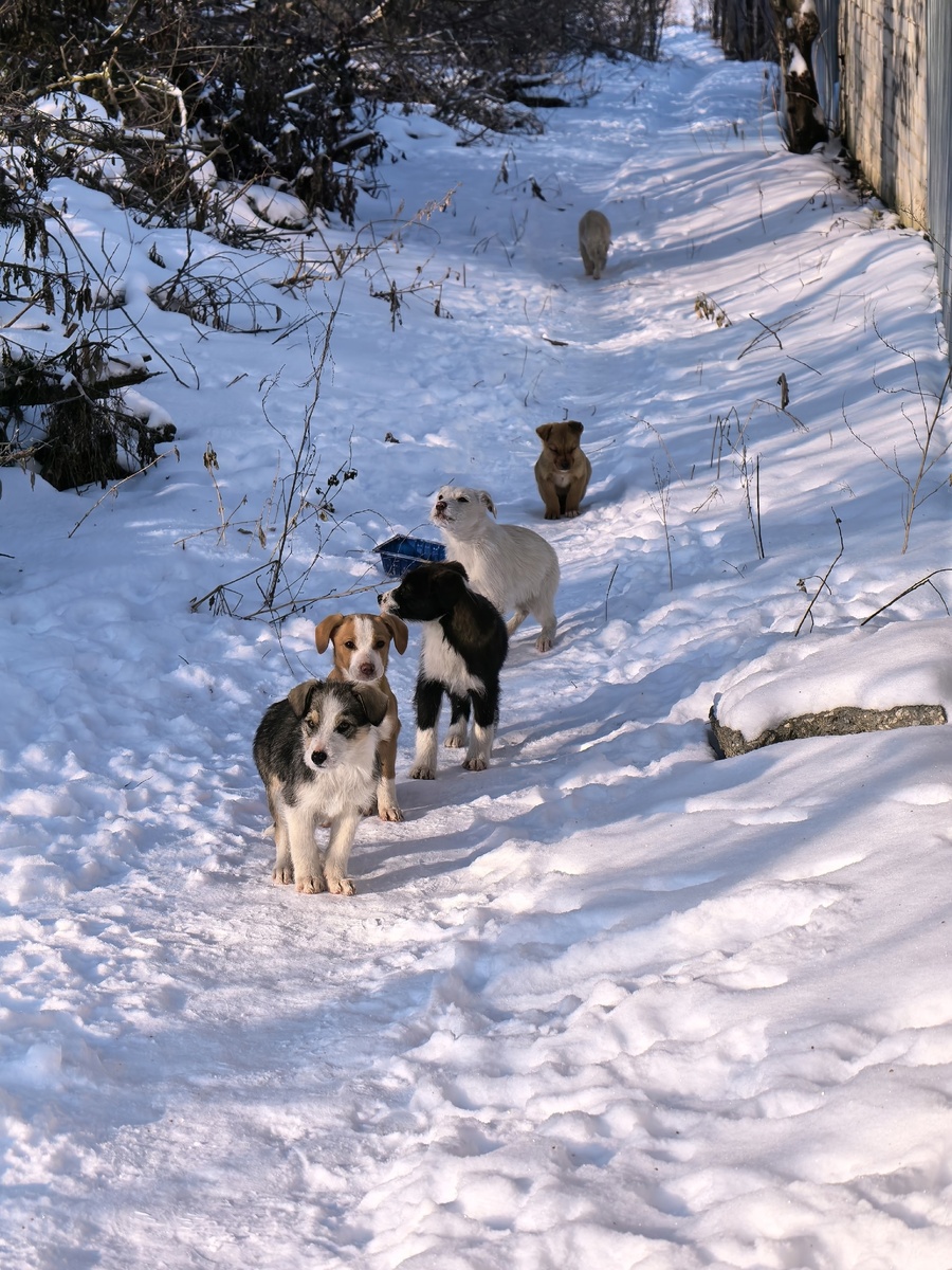 Всех семерых в один кадр было не поймать. Фото из архива автора