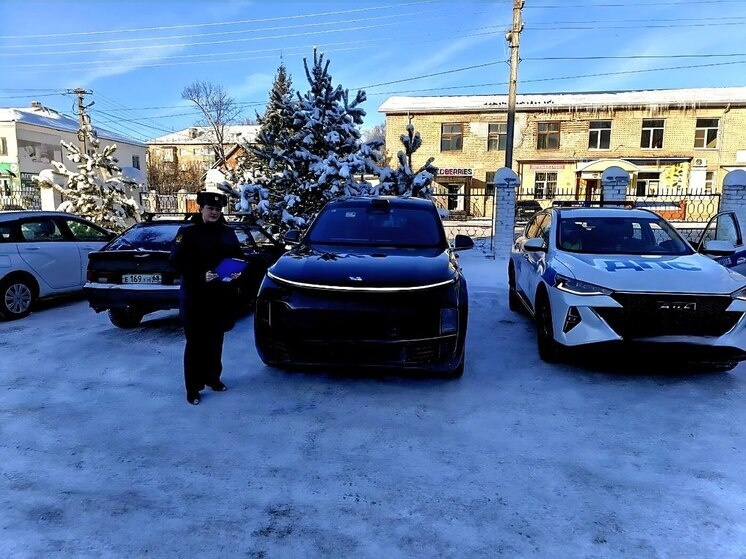     Источник: УФССП России по Тамбовской области