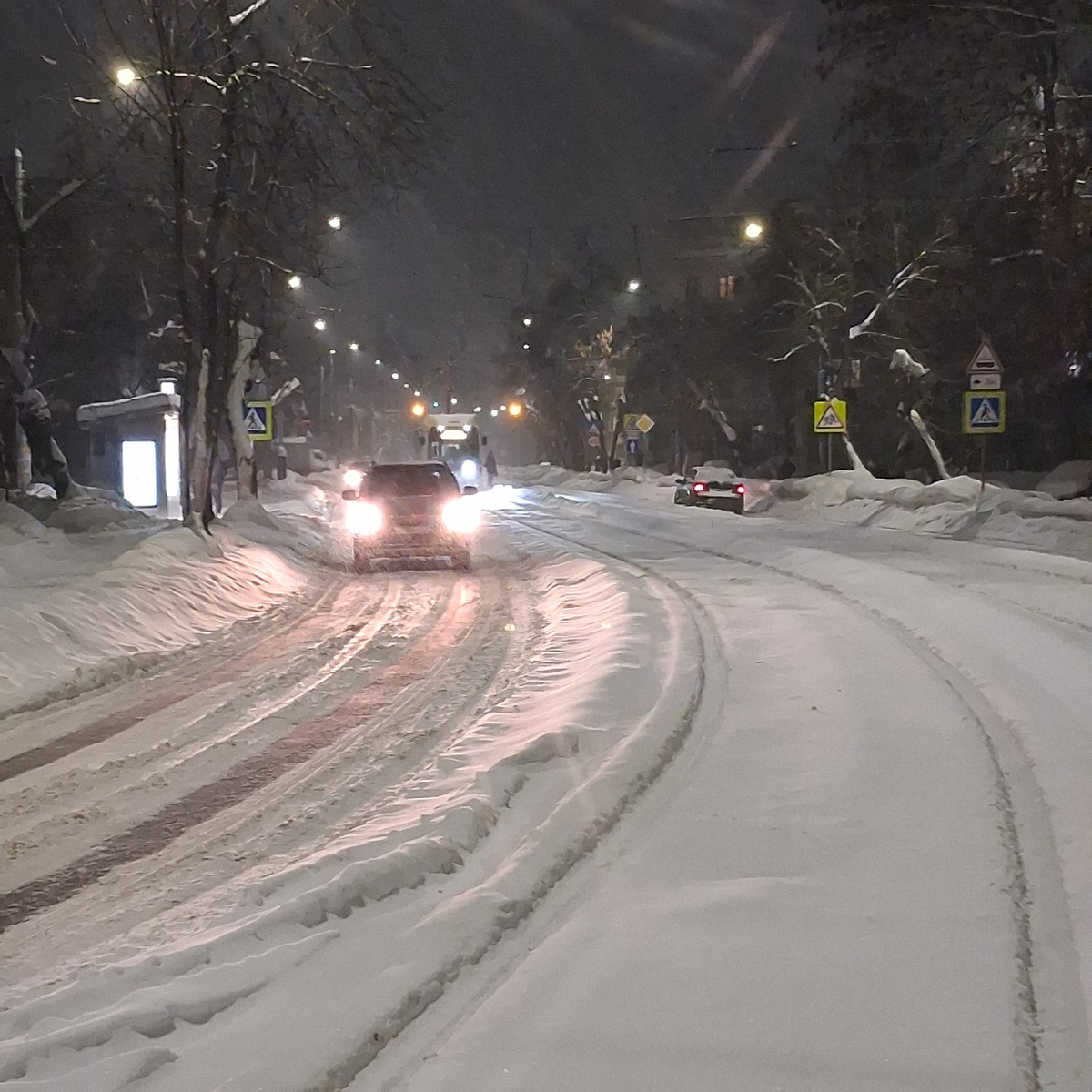 Всё снегом занесло. Фото автора. 