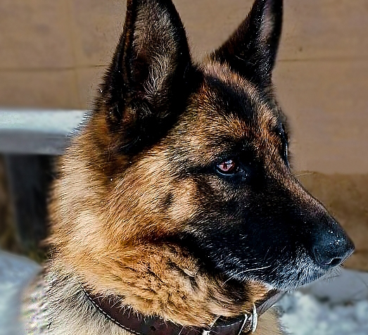    УФСИН России по Кировской области