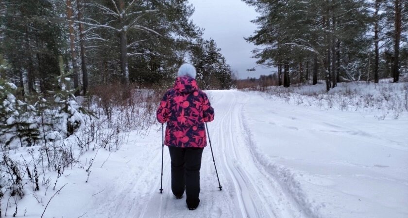    Фото usolie.info