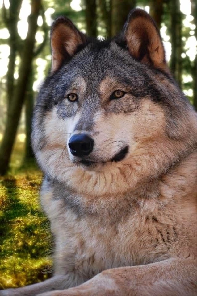 Из свободных источников