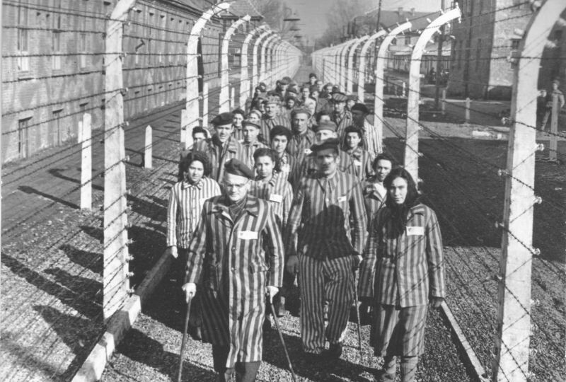 Сколько человек были реально осуждено за несение службы в Освенциме?