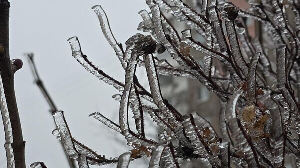    © Sputnik / Виктор Толочко