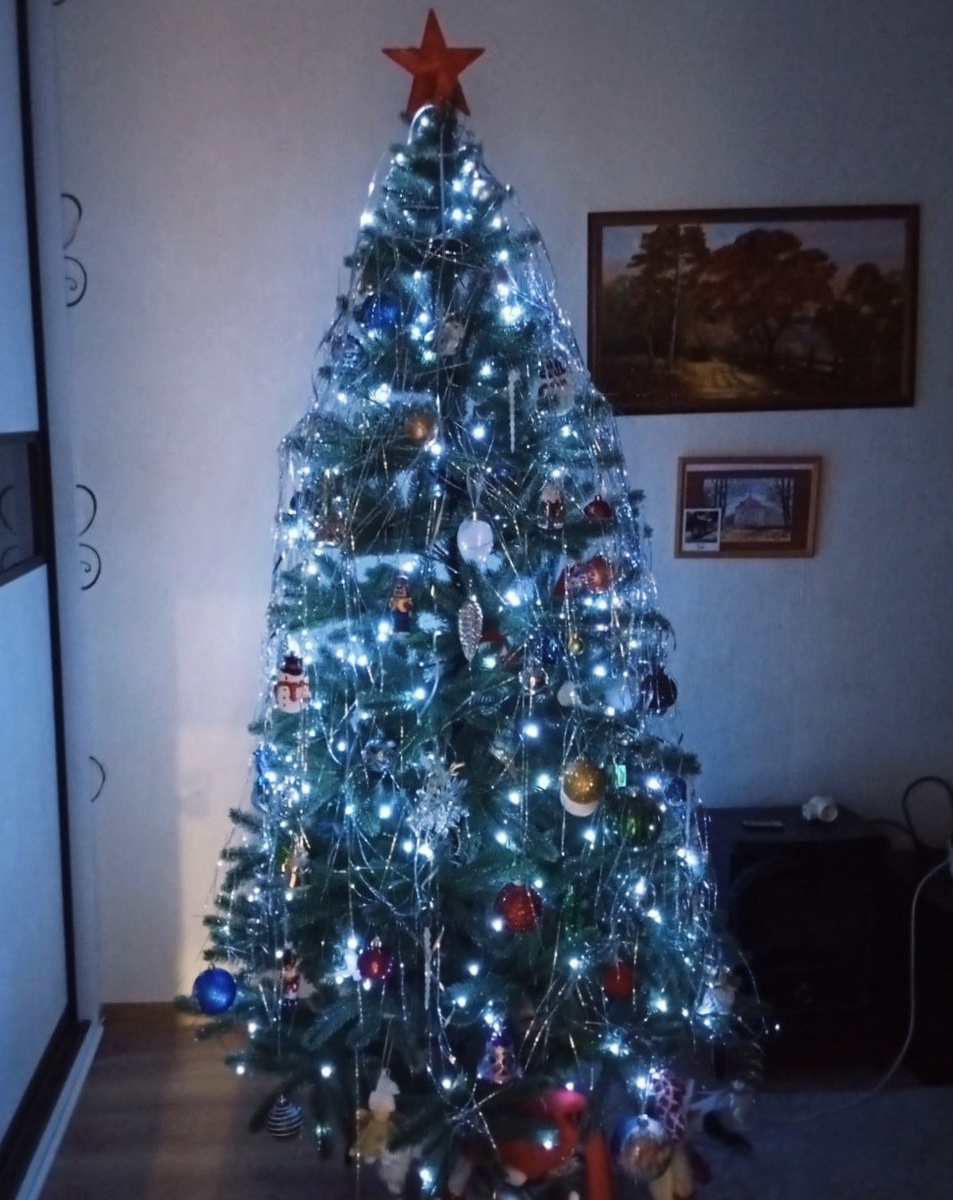        Наша Новогодняя ёлка 2026 года