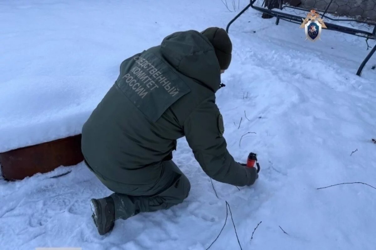    Белгородца отправили в СИЗО за покушение на сына знакомого