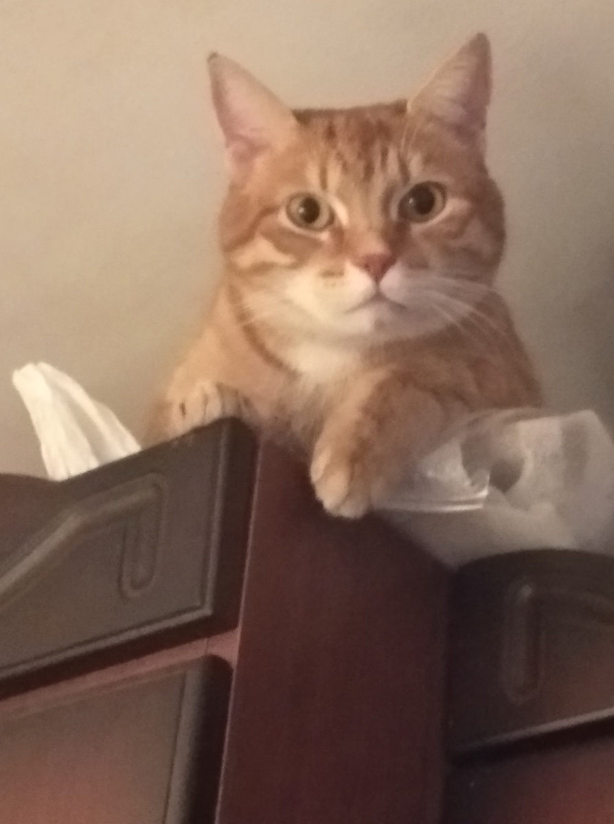 лмчное фото