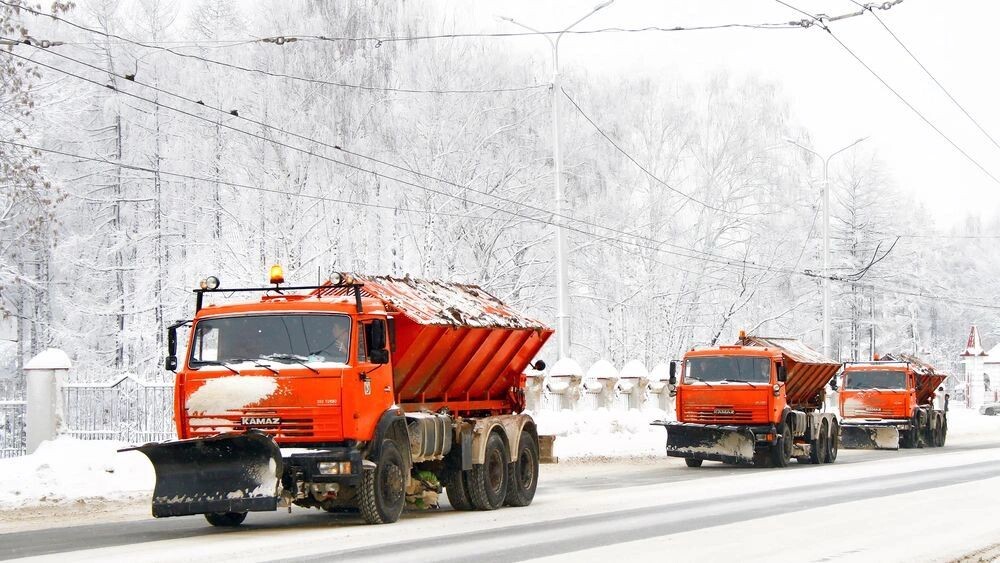    Фото: Art Konovalov/Shutterstock/Fotodom