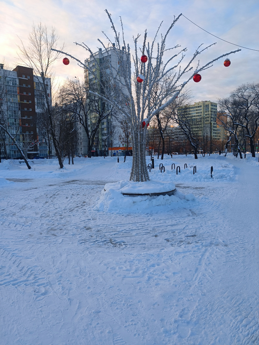 Зимние прогулки: шаг за порог