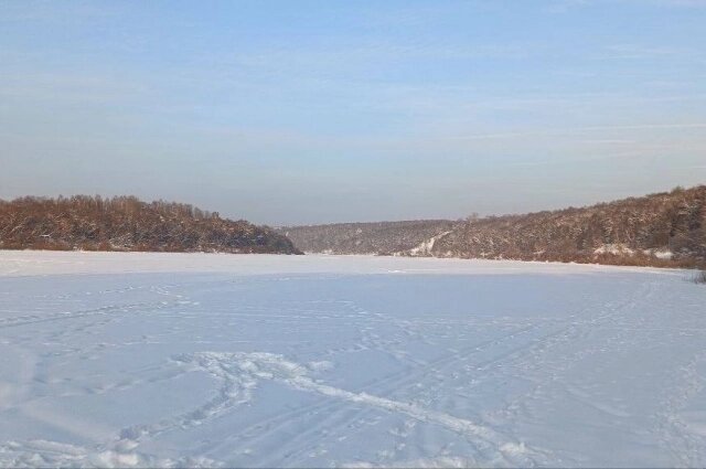    Фото: АиФ в Туле/ Олеся Степанова