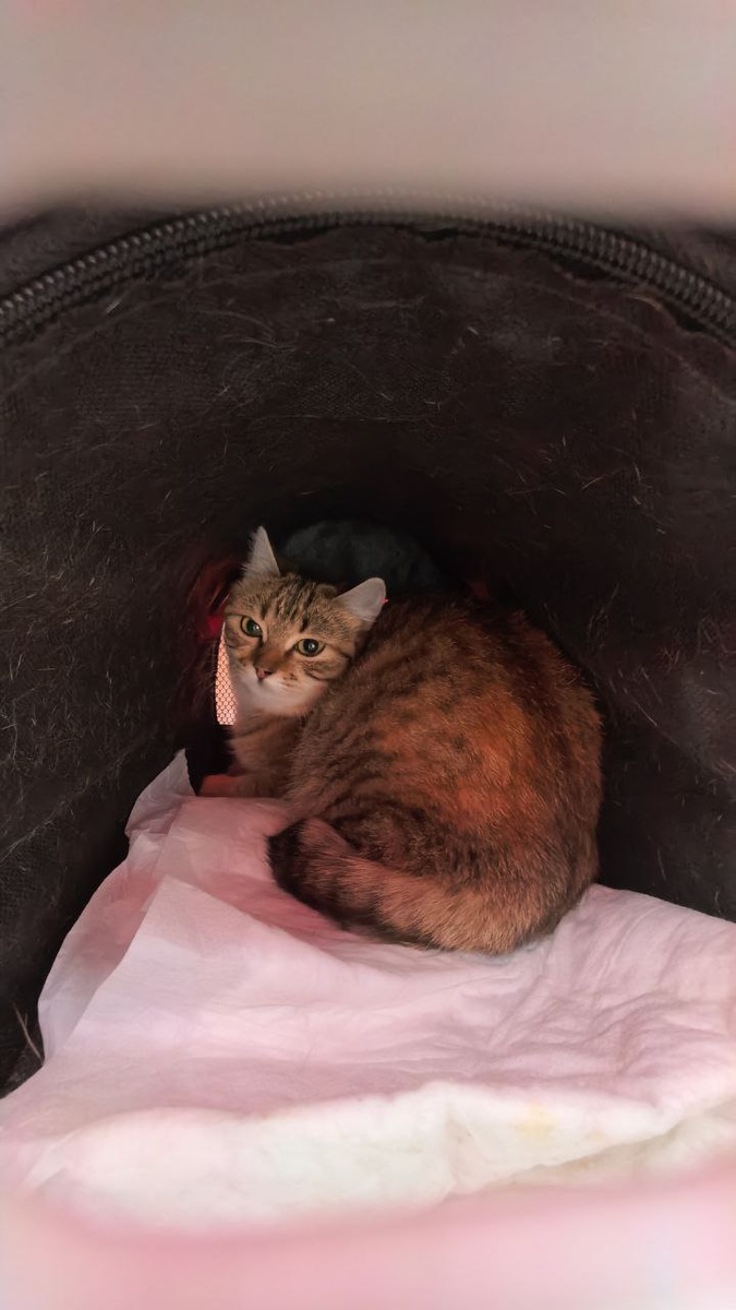 Ноль удовольствия от поездок. Просто ноль. Фото из архива автора