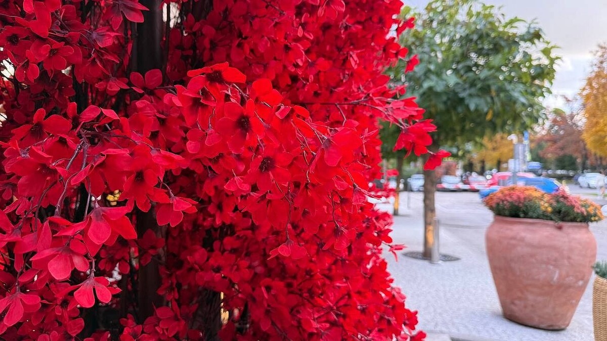    Фото: телеканал «Краснодар»