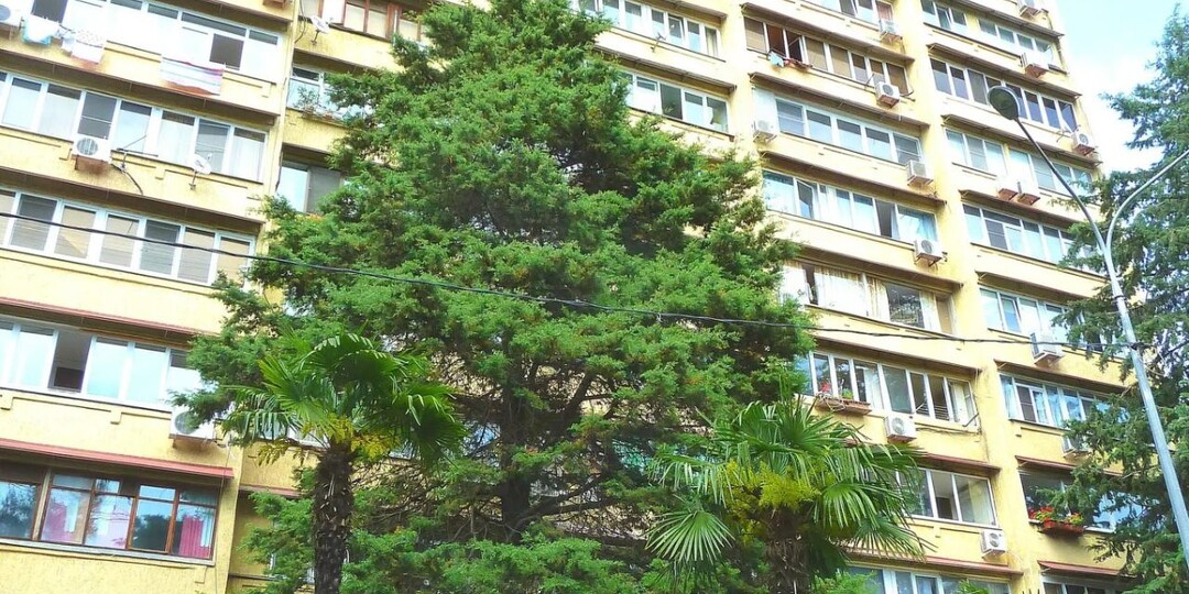 Сочи: многоэтажки на улице Островского. К истории строительства...