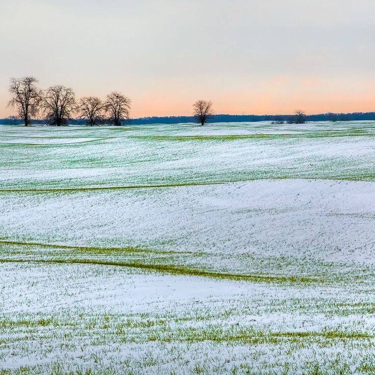 Изображение из открытых источников