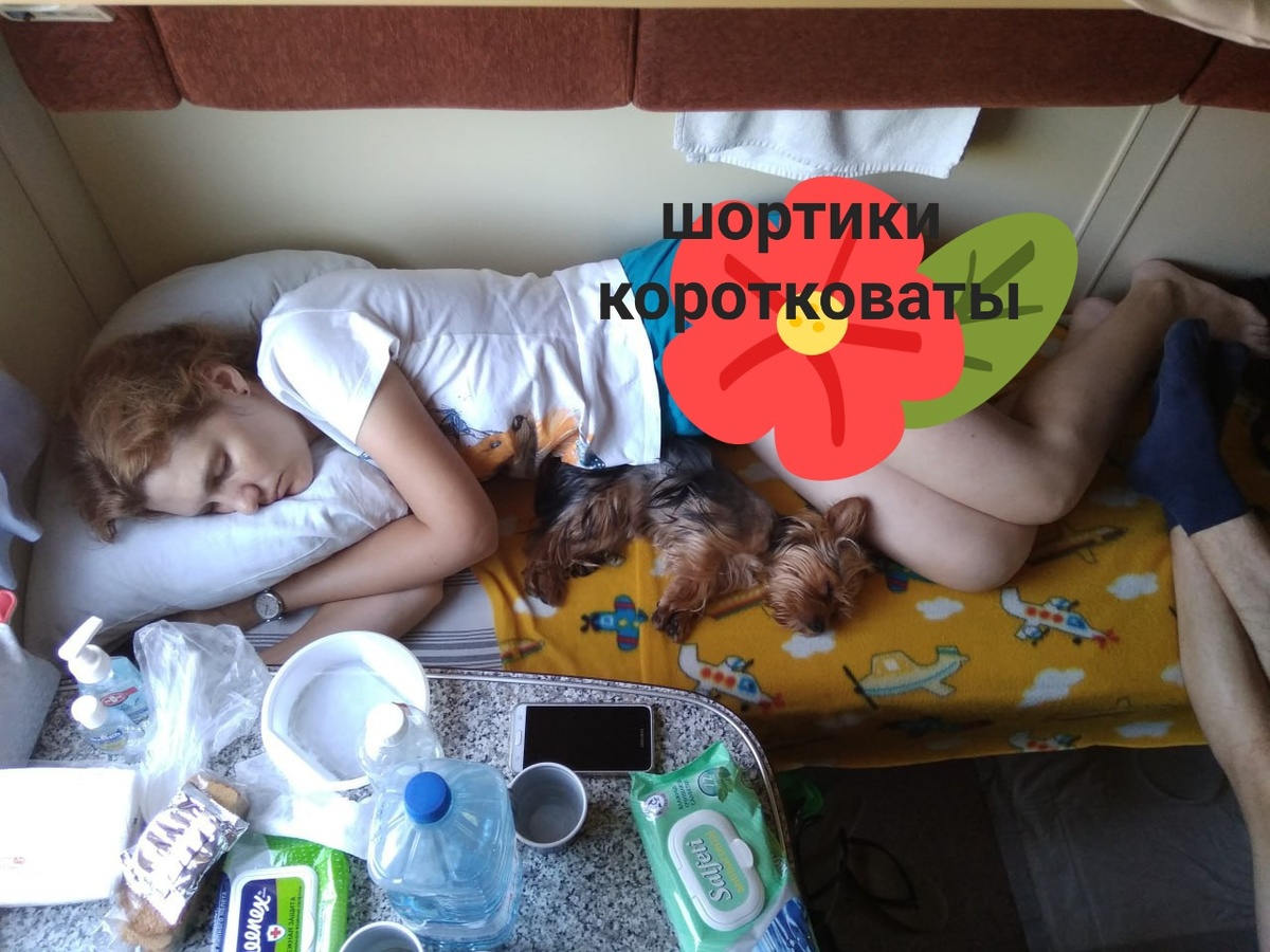 Зато, с такой охраной никто ночью ничего не стащит)